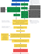 A color-coded flowchart guides students through the Title IX reporting process.